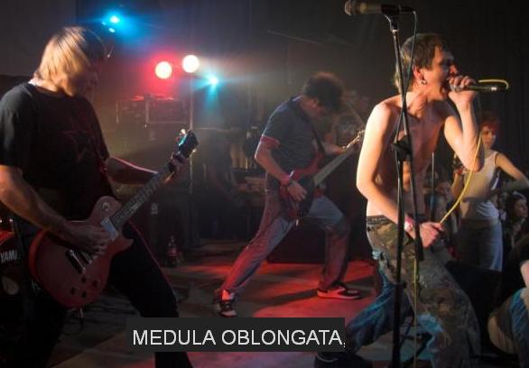 группы "Medula Oblongata"